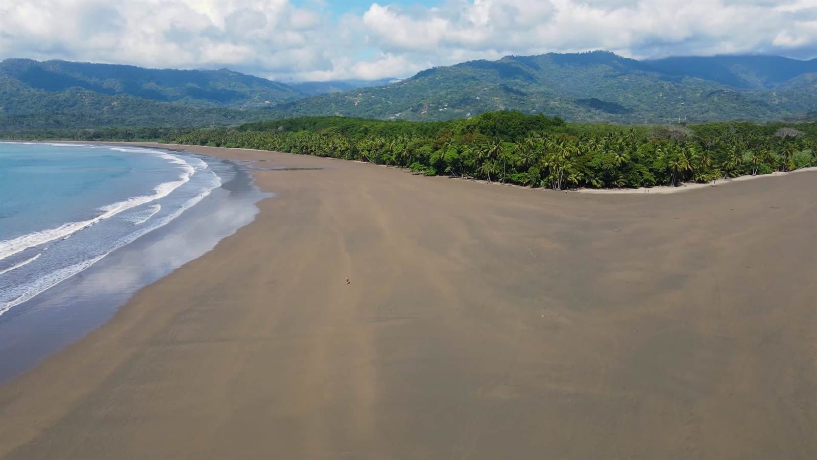 Naturaleza y viajeros disfrutando de un tour en Costa Rica